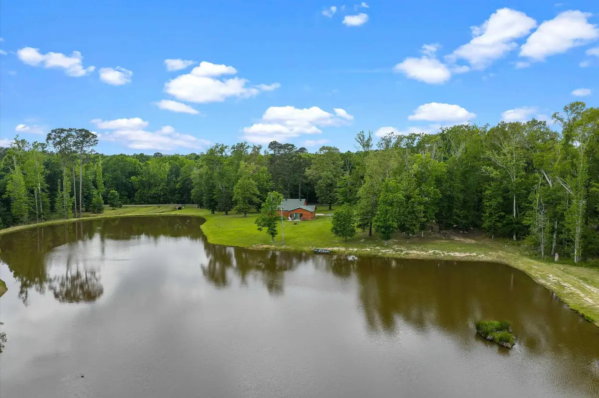 170 County Road 3311, De Berry, TX 75639 - #1