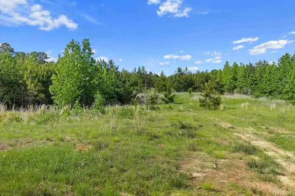 1797 CR 222, Henderson, TX 75652