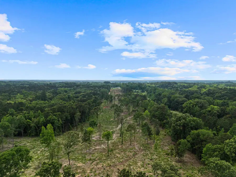 1274 FM 2906, Longview, TX 75603 - #2