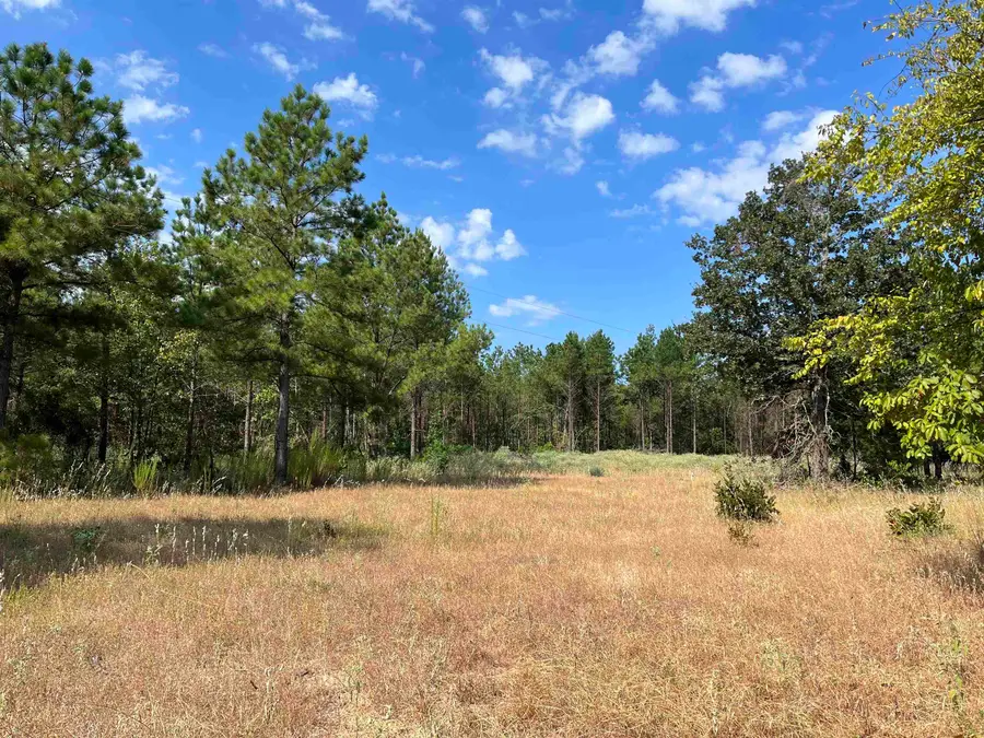 TBD Trinity Rd, Jefferson, TX 75650-000 - #2
