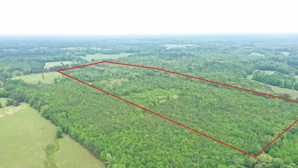 0001 FM 1766, Naples, TX 75568