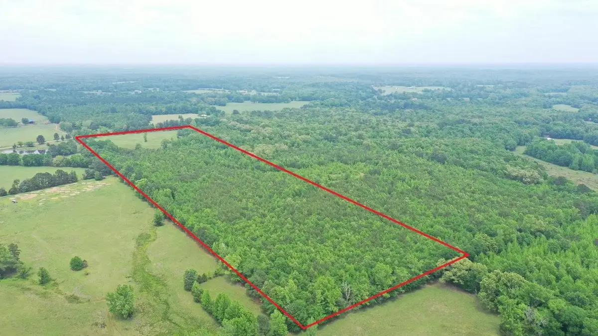 0002 FM 1766, Naples, TX 75568 - #1