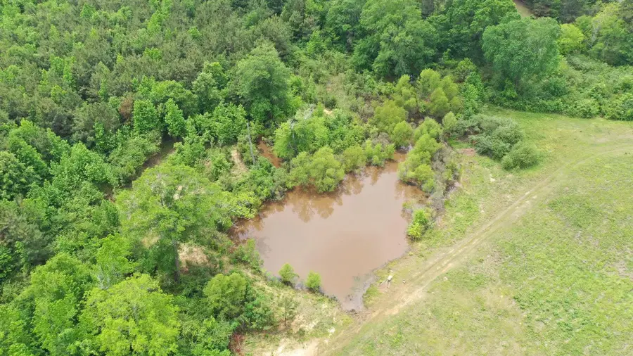 0002 FM 1766, Naples, TX 75568 - #3