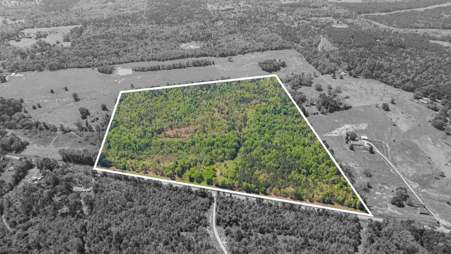 7200 S FM 144, Daingerfield, TX 75638 - #2