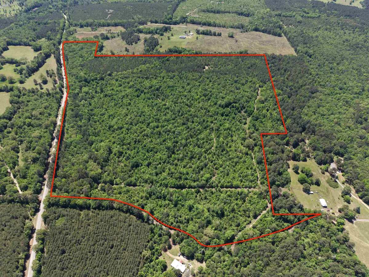 000 FM 1399, Linden, TX 75563 - #1
