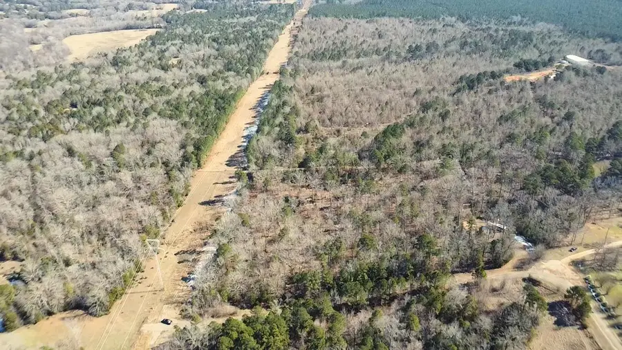 Lot 91 Francis Ln, Diana, TX 75640 - #2