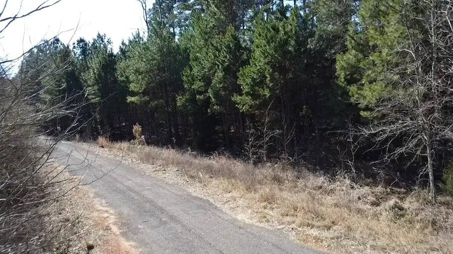 Lot 91 Francis Ln, Diana, TX 75640 - #3