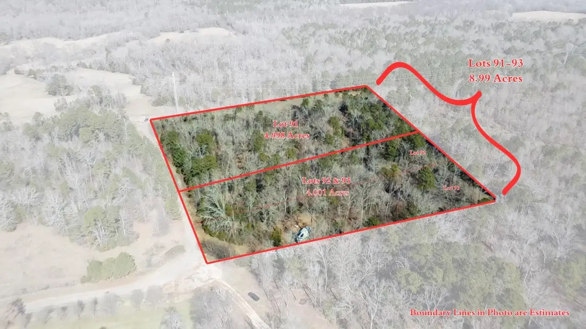 Lots 92-93 Francis Ln, Diana, TX 75640 - #1