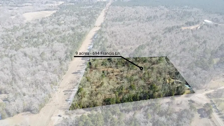 Lots 92-93 Francis Ln, Diana, TX 75640 - #2