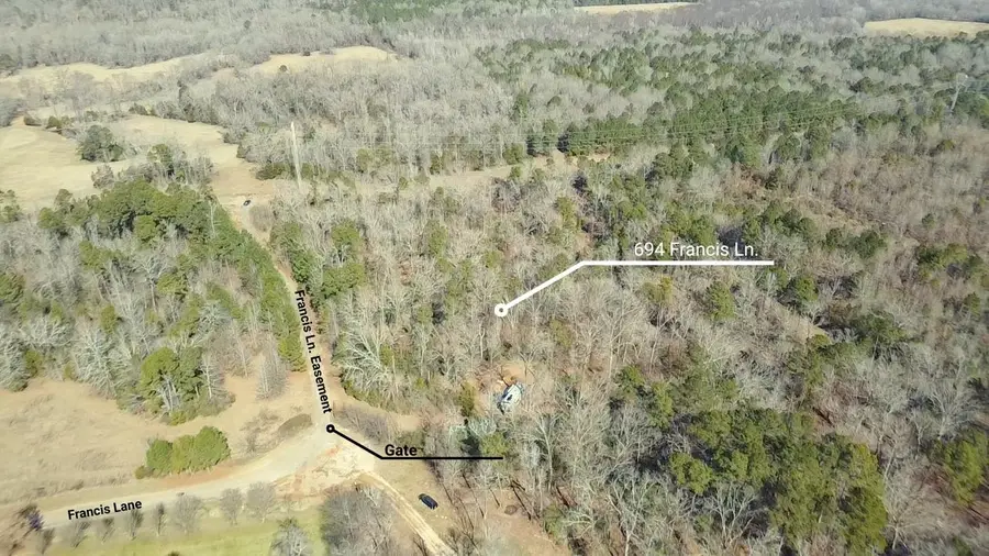 Lots 92-93 Francis Ln, Diana, TX 75640 - #3