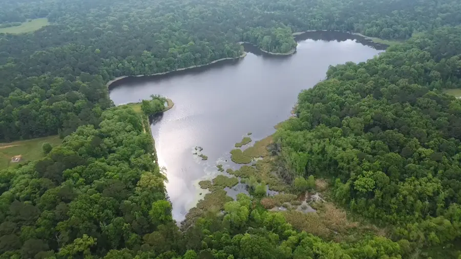 Lot 358 & 378 Myrtlewood Trail, Gilmer, TX 75644 - #3