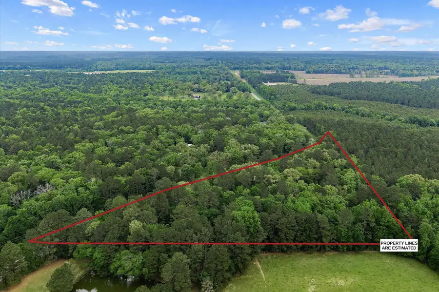 6388 FM 134, Karnack, TX 75692 - #3