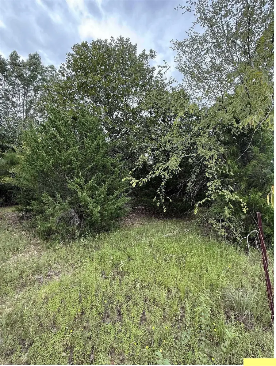 TBD County Road 4620, Troup, TX 75789 - #2