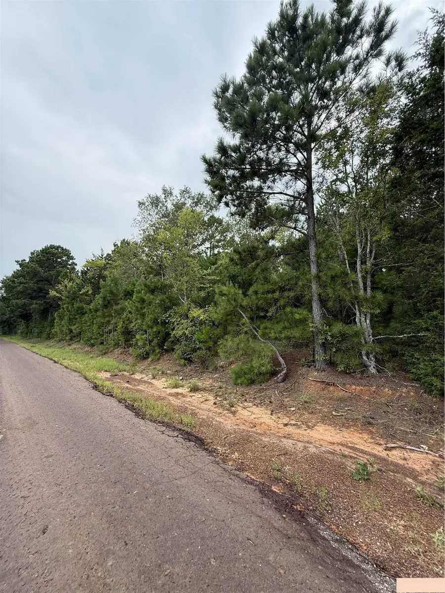 TBD County Road 4620, Troup, TX 75789 - #3