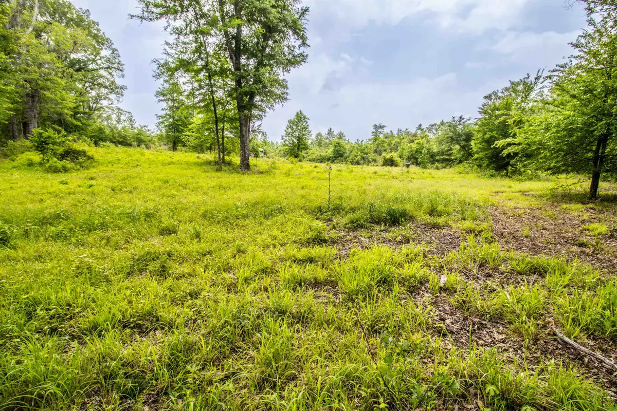 962 Cowpen Rd, Karnack, TX 75661 - #1