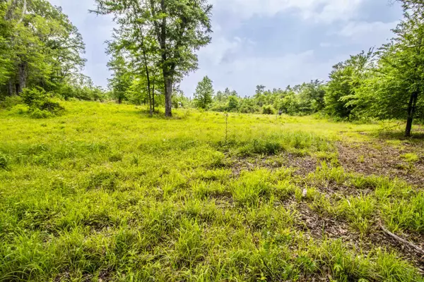 962 Cowpen Rd, Karnack, TX 75661