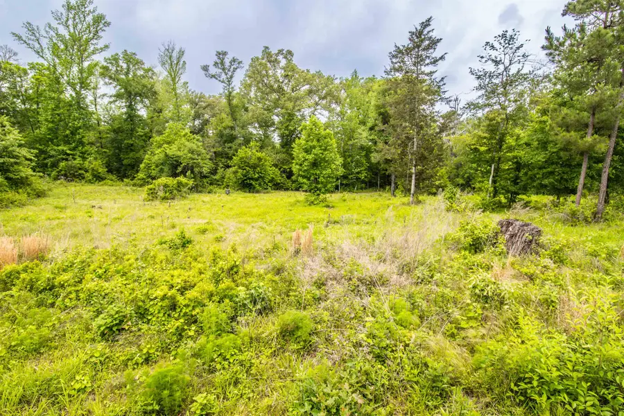 962 Cowpen Rd, Karnack, TX 75661 - #2