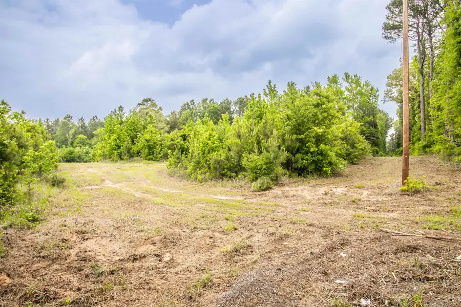 962 Cowpen Rd, Karnack, TX 75661 - #3