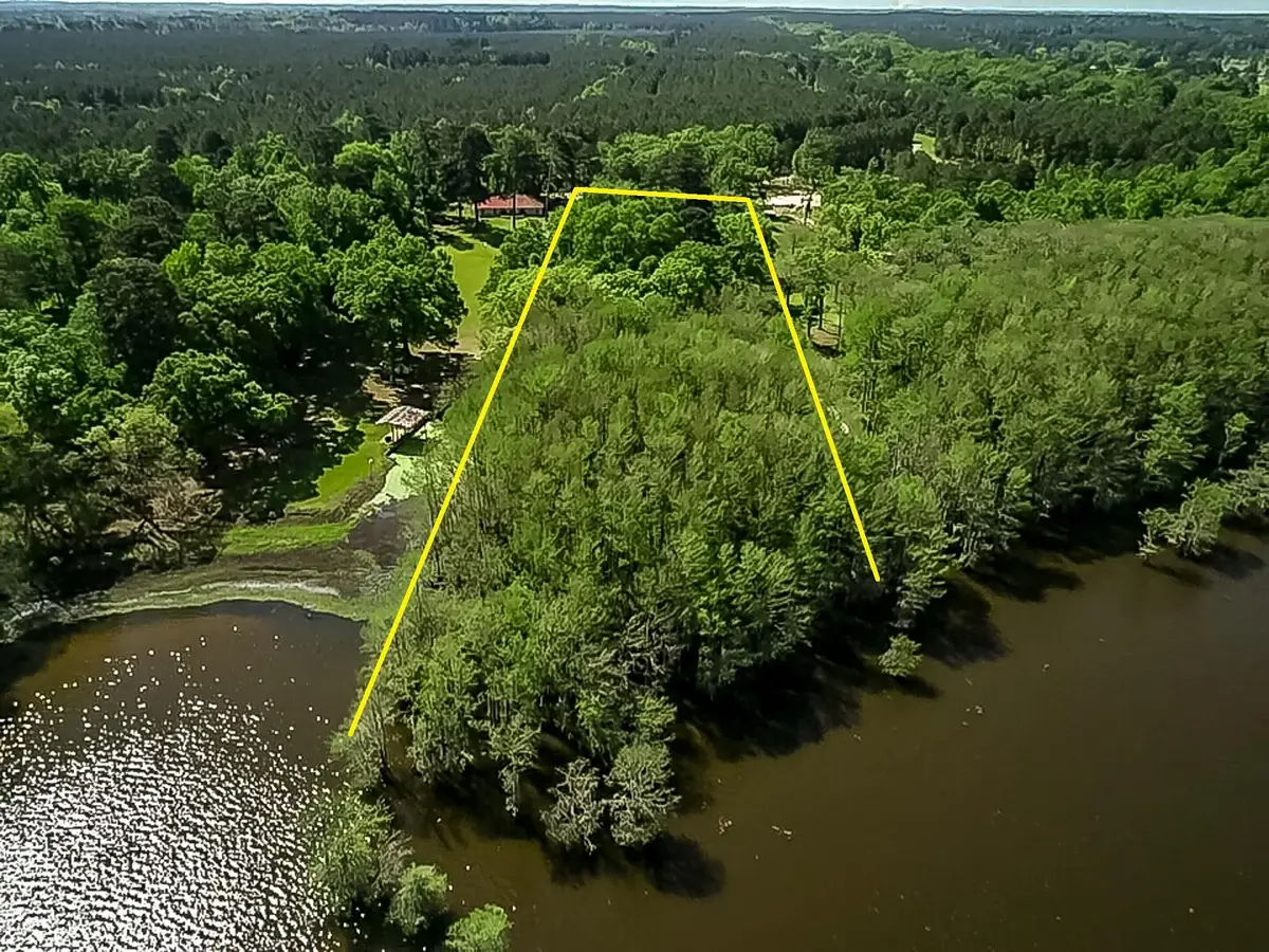 451 WIGGINS RD, Karnack, TX 75661 - #1