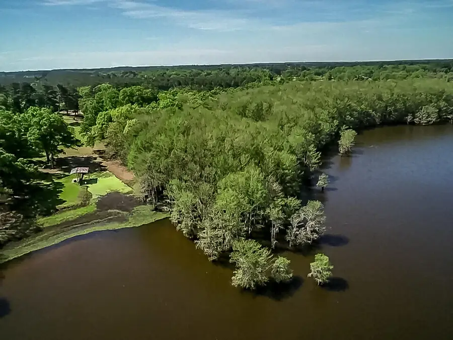 451 WIGGINS RD, Karnack, TX 75661 - #3