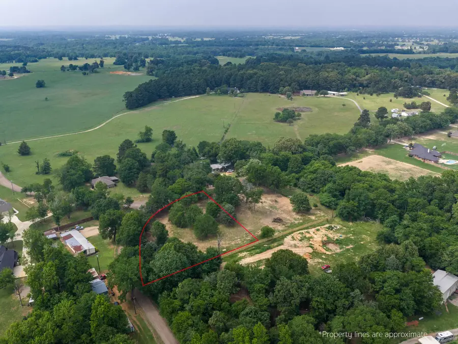 TBD CR 3601, Bullard, TX 75757 - #3