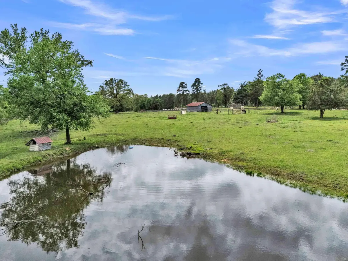 445 Berea 4, Jefferson, TX 75657 - #1