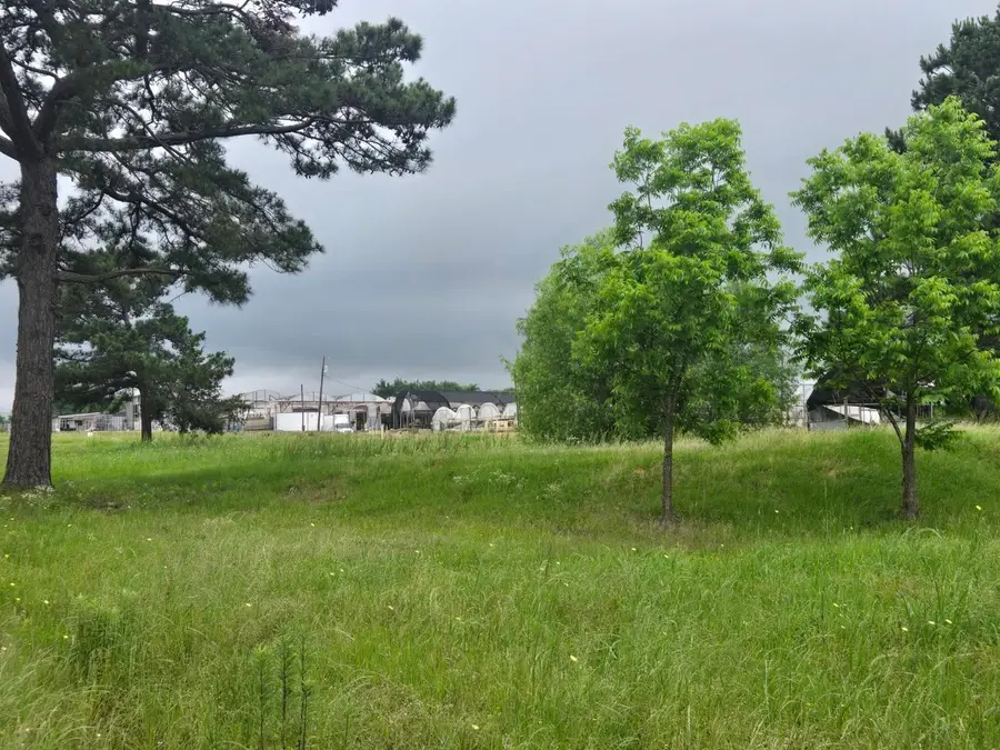 TBD County Road 474, Henderson, TX 75652 - #2
