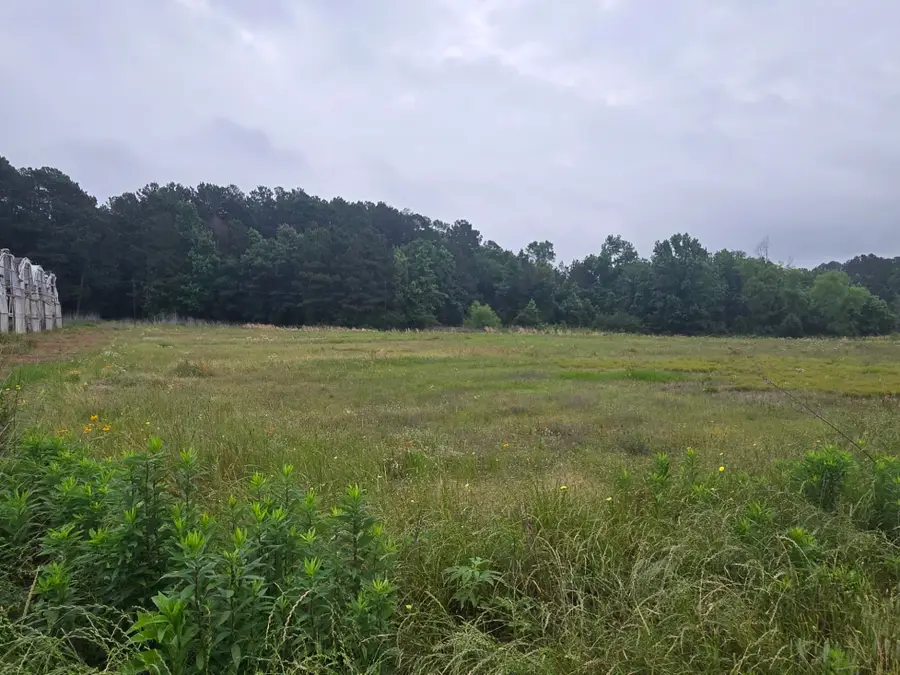 TBD State Highway 42, Henderson, TX 75652 - #3