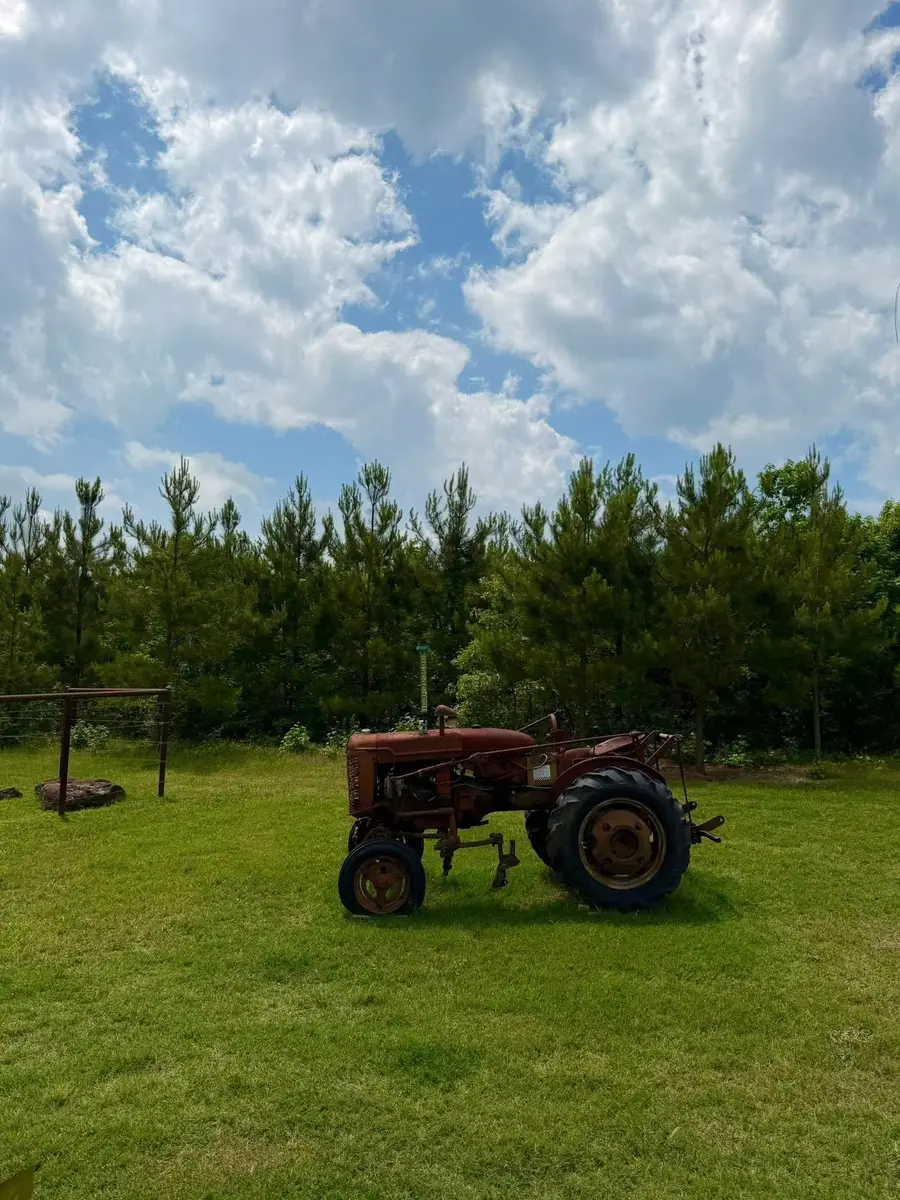 300 CR 3535, Queen City, TX 75572 - #3