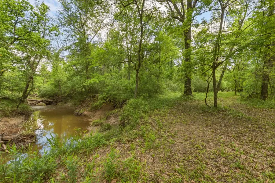 Address Withheld By Seller, Mount Vernon, TX 75457 - #2