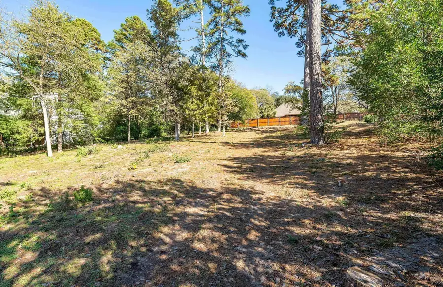 425 Hideaway Central Ln, Hideaway, TX 75771 - #3