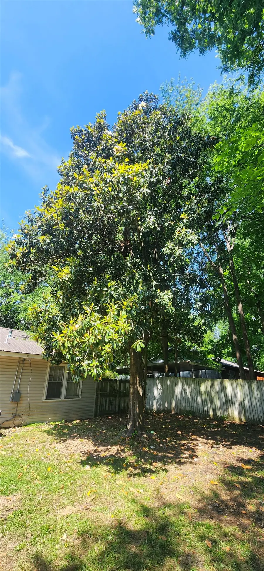 1908 Lee St, Longview, TX 75604 - #3