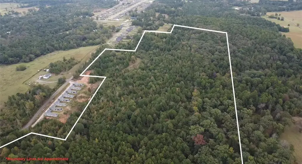 TBD Mt Pleasant Cutoff, Hallsville, TX 75650 - #1