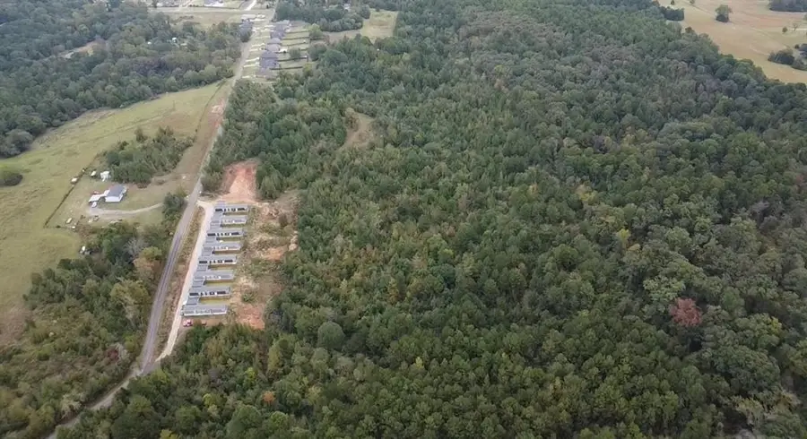 TBD Mt Pleasant Cutoff, Hallsville, TX 75650 - #3