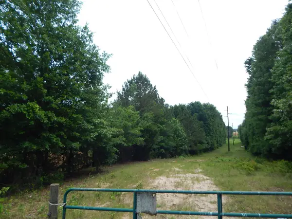 TBD 15 ACRE LOCUST RD., Gilmer, TX 75645