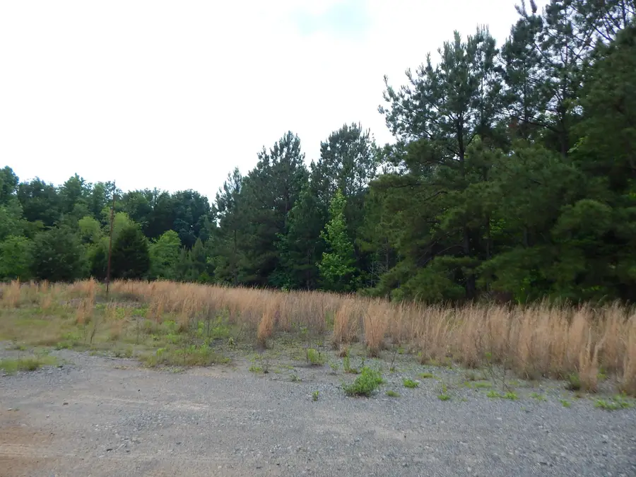 TBD 15 ACRE LOCUST RD., Gilmer, TX 75645 - #2