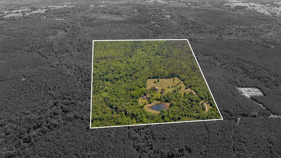 1655 County Road 1627, Linden, TX 75563 - #2