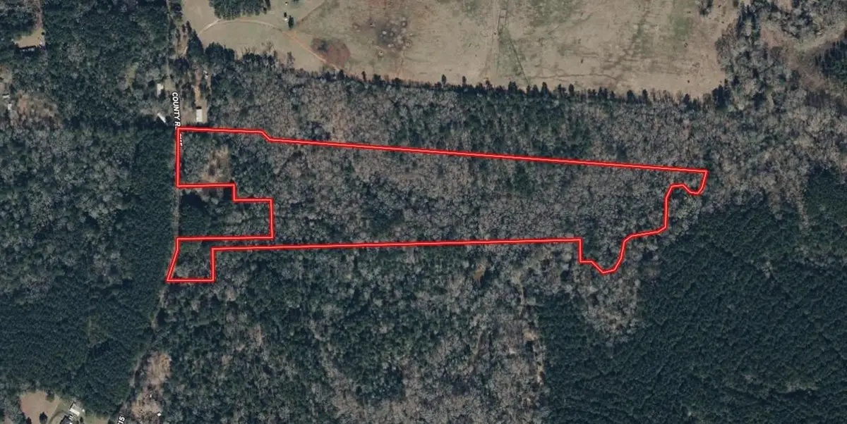 406 County Road 2115, Shelbyville, TX 75973 - #1