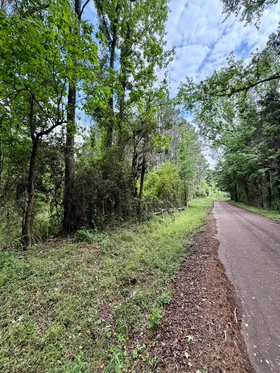 406 County Road 2115, Shelbyville, TX 75973 - #3