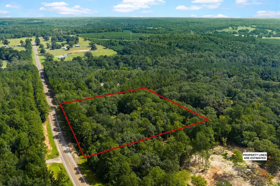 17327 FM 2089, Overton, TX 75684 - #2