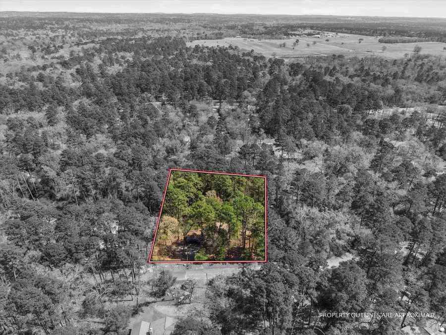 168 Hearthside Path, Holly Lake Ranch, TX 75765 - #2