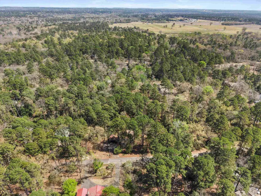 168 Hearthside Path, Holly Lake Ranch, TX 75765 - #3