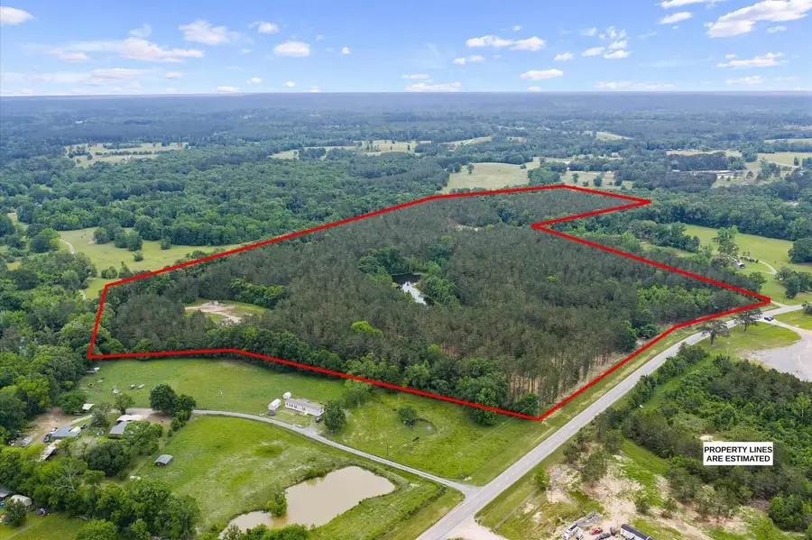 869 FM 2787, Center, TX 75935-5415 - #2