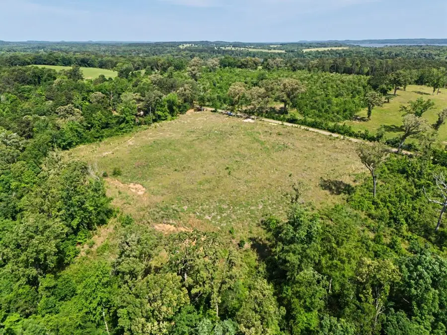 2120 McCoy Road, Diana, TX 75640 - #2