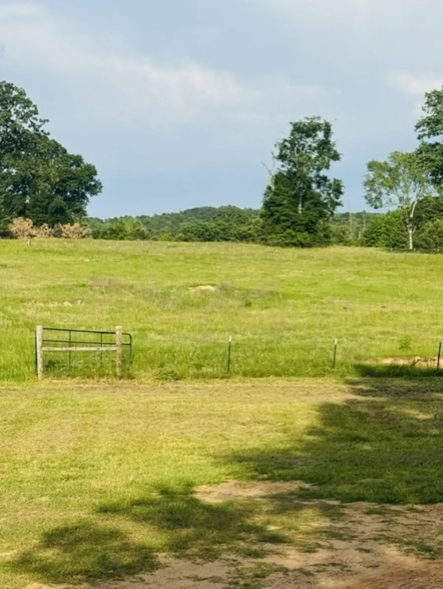 2470 Hickey RD, Hallsville, TX 75650 - #3