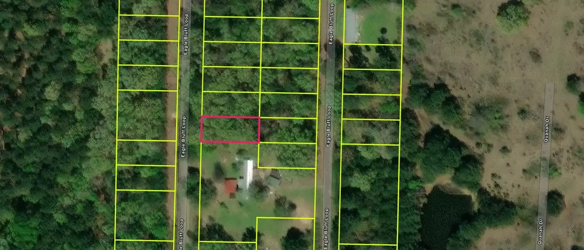 TBD LOT 526 TBD Eagle Bluff Loop Lot 526, Avinger, TX 75630 - #1