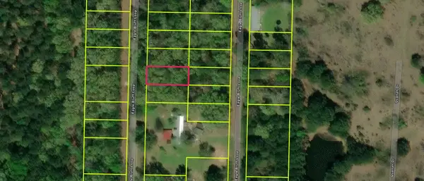 TBD LOT 527 TBD Eagle Bluff Loop Lot 527, Avinger, TX 75630