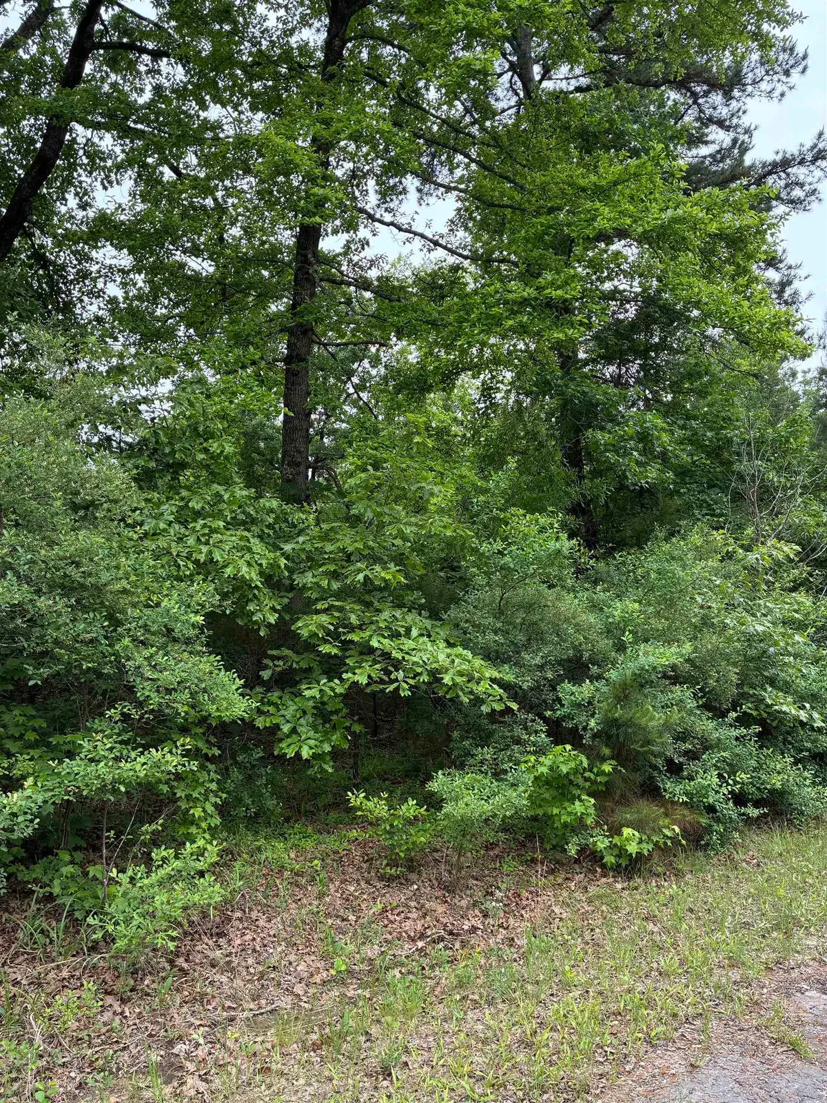 TBD LOT 538 TBD Eagle Bluff Loop Lot 538, Avinger, TX 75630 - #1