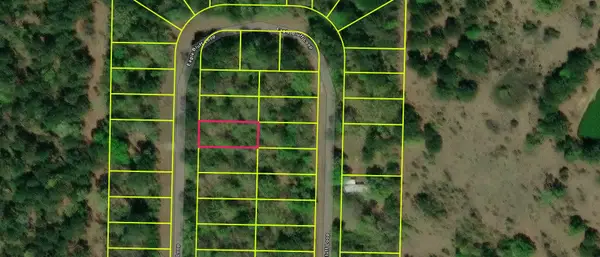TBD LOT 539 TBD Eagle Bluff Loop Lot 539, Avinger, TX 75630