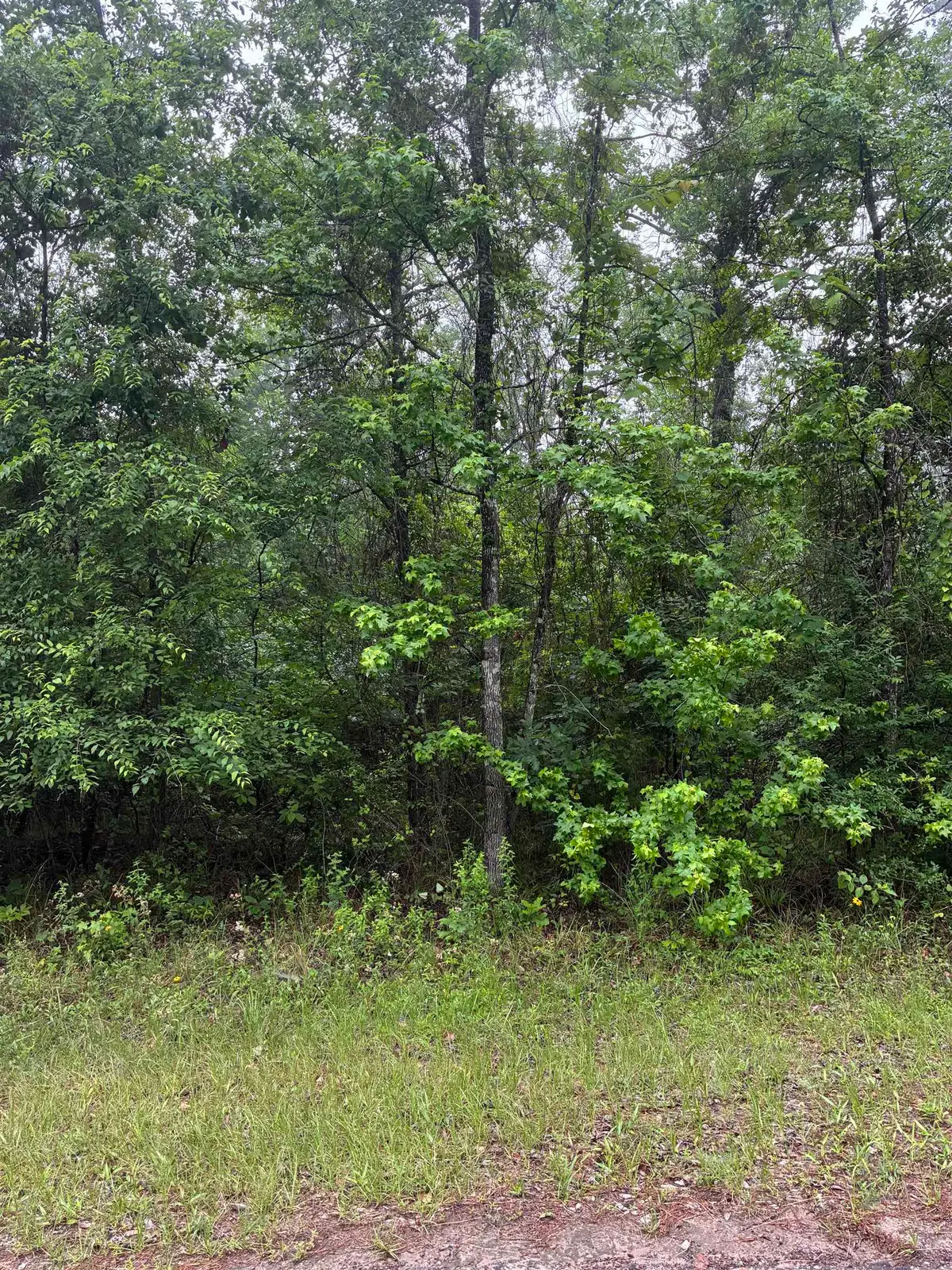 TBD LOT 561 TBD Eagle Bluff Loop Lot 561, Avinger, TX 75630 - #1